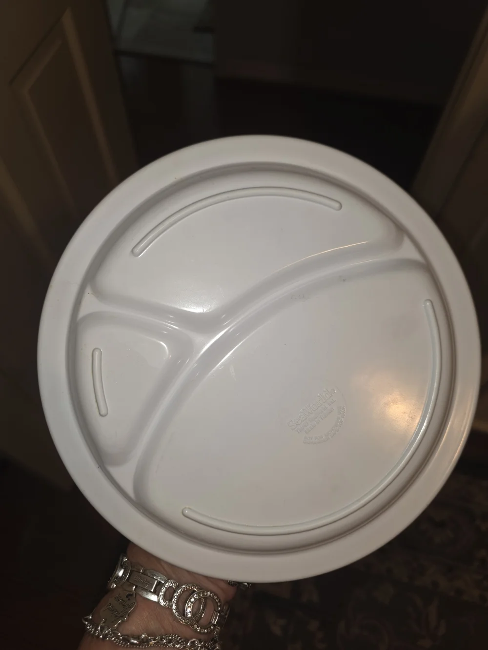 Vintage Seaworld Kids Blue Divided Snack Plate